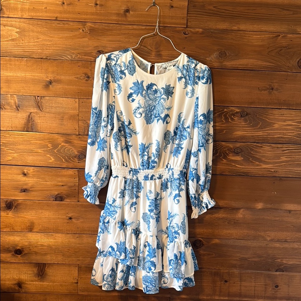 Floral Blue and White Dress